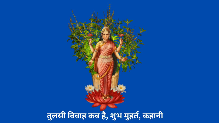 tulsi